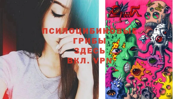 MDMA Premium VHQ Дмитров