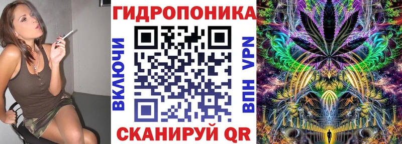 Купить  Котово  Бошки Шишки White Widow 